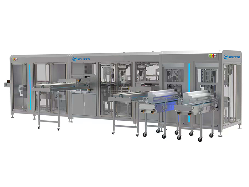 Multifunctional Fully Automatic Verical Caroning Machine